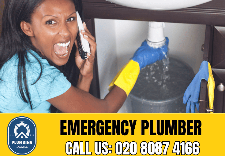 emergency plumber Lambeth