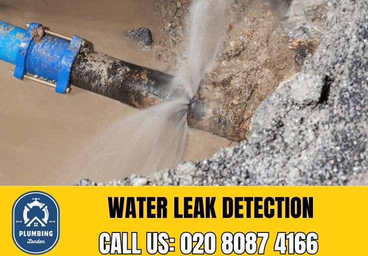 leak detection Lambeth